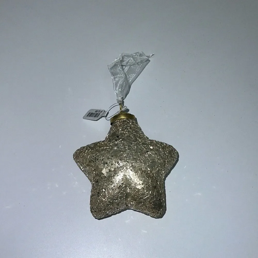 Terrain Glitter Star Ornament Silver